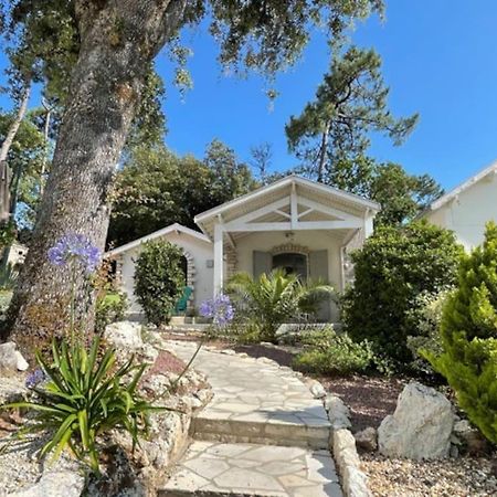 Adorable Petite Maison A 400M De La Mer Villa Saint-Georges-de-Didonne ภายนอก รูปภาพ
